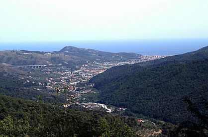 andora.jpg